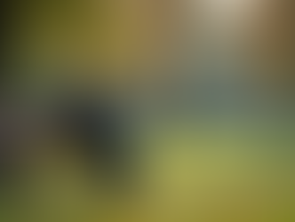 Balance Authenticity: Staying True to Yourself in Different Social Circles