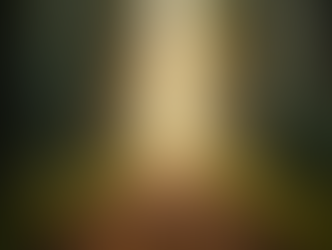 Breaking the Cycle of Over-Apologizing: Healing the Nervous System and Embracing Self-Forgiveness