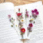 flower pressed bookmarks contained in the bookmark (small flowers).jpg