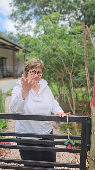Silvana Decome atende em um ambiente de reconexão e harmonia.