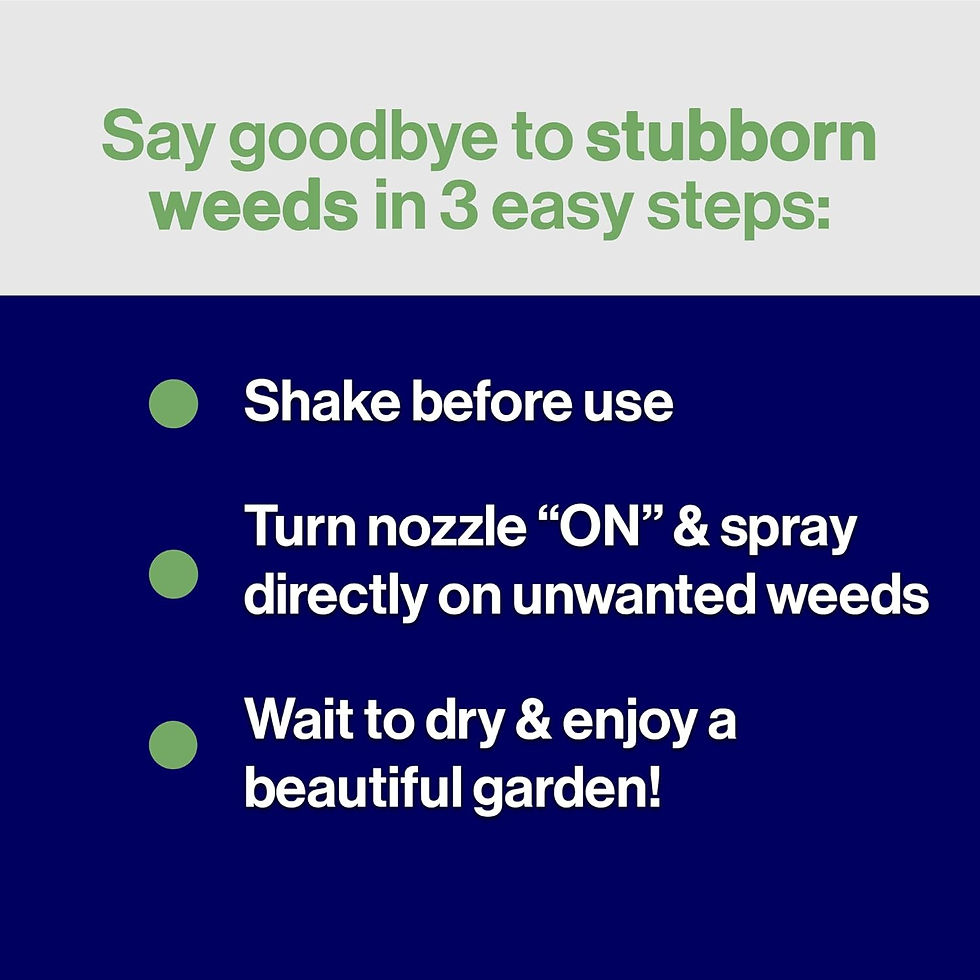 Thumbnail: Ecocity 5L RTU Fast-Acting Weedkiller & Moss Control -Pro Active 360 Weed Killer