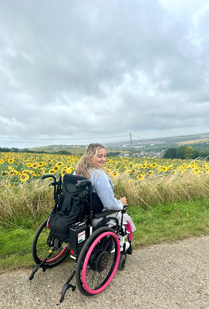 woodingdean sunflower fields