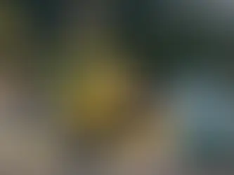 How Much Time Can I Save by Taking a Helicopter During Chaitra Navratri 2026