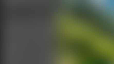 Screenshot des Adobe Lightroom Classic Bedienfelds mit Histogramm und 100-Prozent-Bildaufteilung des Stierkarsees zur Demonstration der Belichtungsdaten.