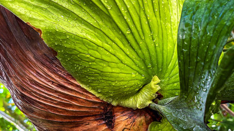 BILD DER WOCHE – Die Verbindung von real-informeller Darstellung und Natur