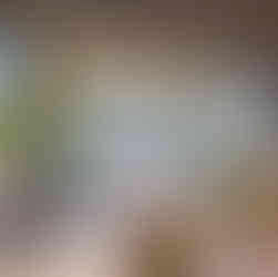 Terrasse am Traunsee in Gmunden