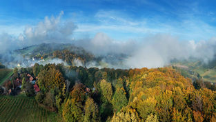 Oktober 2027: Nebliges Herbstpanorama über Weinbergen; unten Kalender mit Ihr Eindruck und Steirische Weinstraßen.