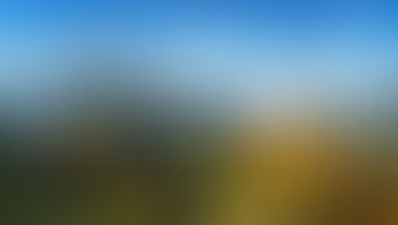 Oktober 2027: Nebliges Herbstpanorama über Weinbergen; unten Kalender mit Ihr Eindruck und Steirische Weinstraßen.