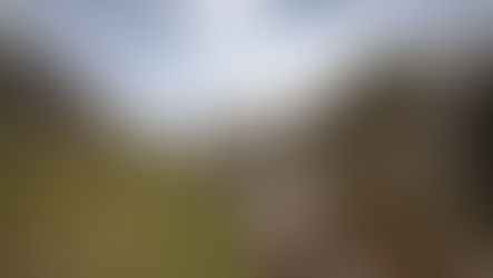 1.000 Bilder