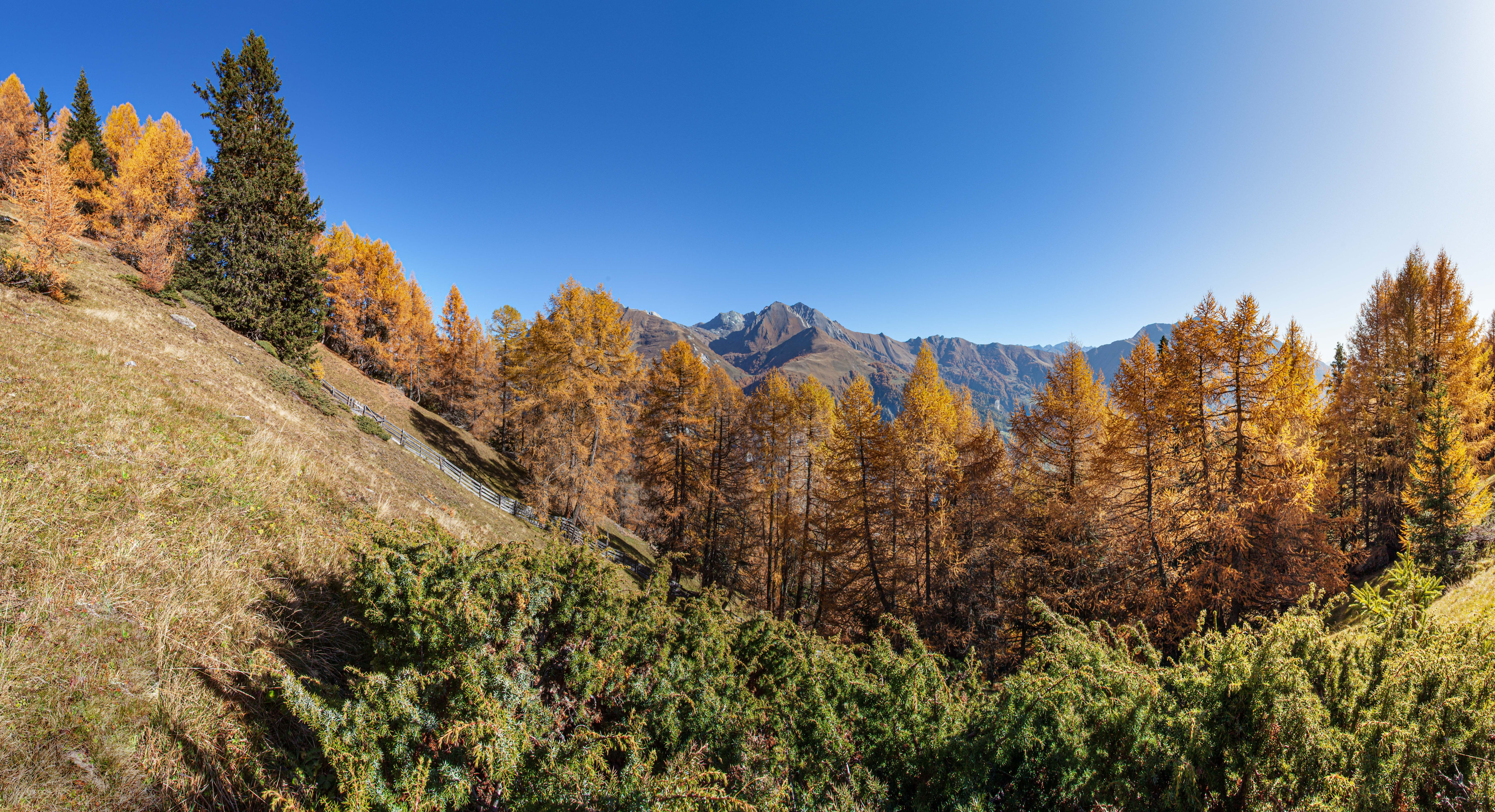 Zedlach (8351x4536px)