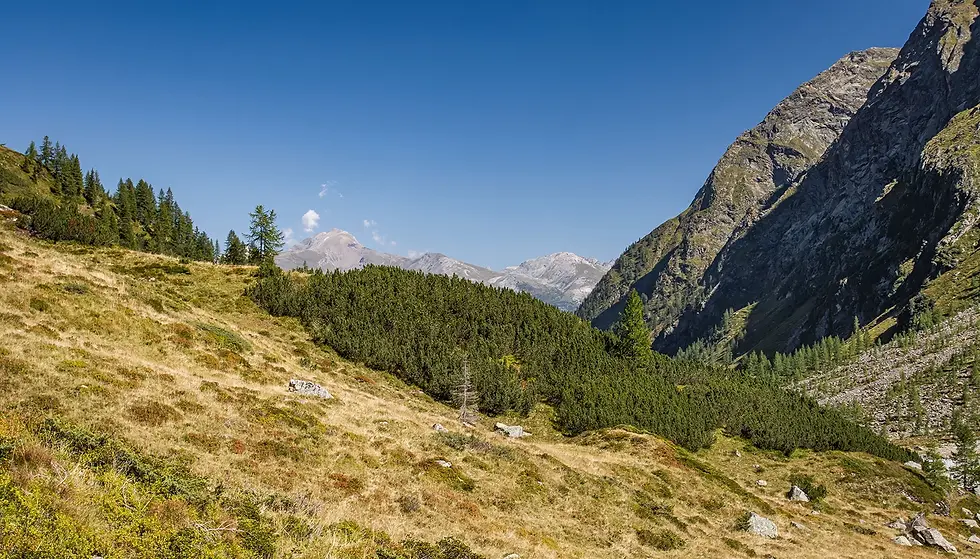 Blick durch das herbstliche Gradental in der Schobergruppe der Hohen Tauern