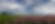 Waldviertel (9046x4000px)