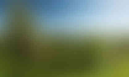 Landschaftspanorama mit Blick ins grüne Sausal