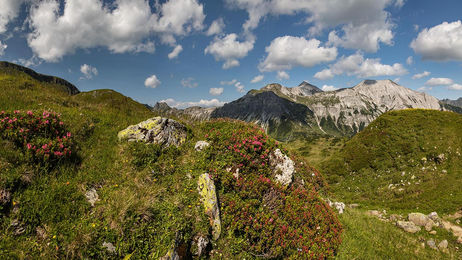 Eine fotografische Sommerreise