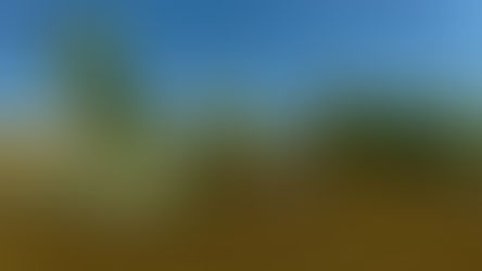 Drohnenpanoramafotografie: Ein neuer Blick auf die Welt