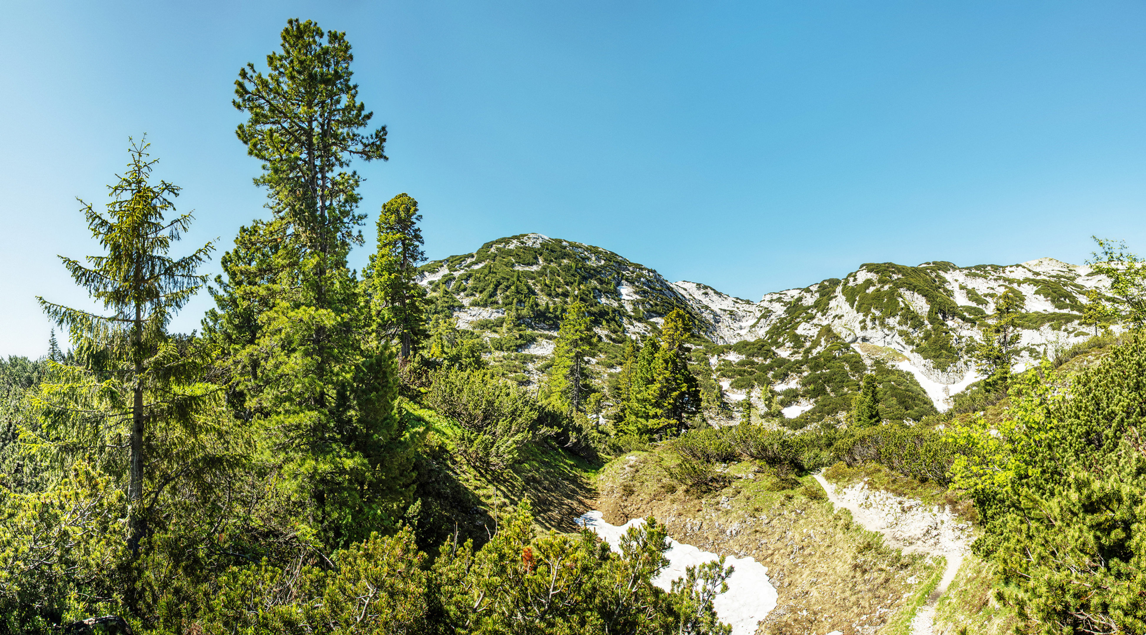 Rinnerkogel (10630x5896px)