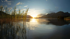 Bild der Woche