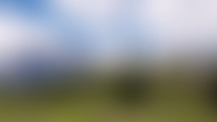 Timelapse