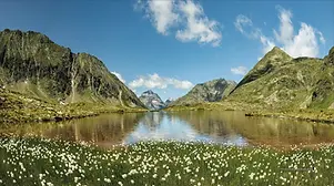 oberer-landschitzsee-hochgolling-wollgras-bergsee-mai