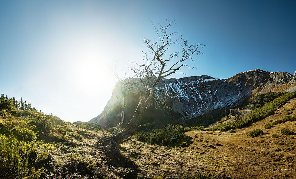 Intuition in der Fotografie: Der Schlüssel zur kreativen Freiheit