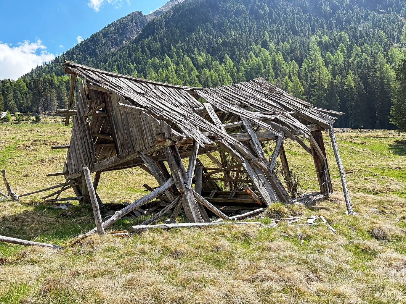 Eine verfallene Holzkonstruktion, die in einer grünen Wiese steht, umgeben von Bäumen und Bergen im Hintergrund.