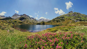 Weitwinkel-Panorama der Giglachseen in den Schladminger Tauern mit leuchtend pinkem Almrausch im Vordergrund.