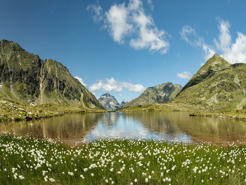 Der von Wollgras eingerahmter Obere Landschitzsee in den Schladminger Tauern