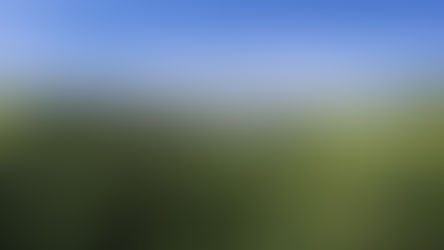 Fotoauftrag Steyregg
