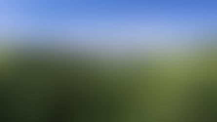 Fotoauftrag Steyregg