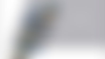 Made in Austria 2021