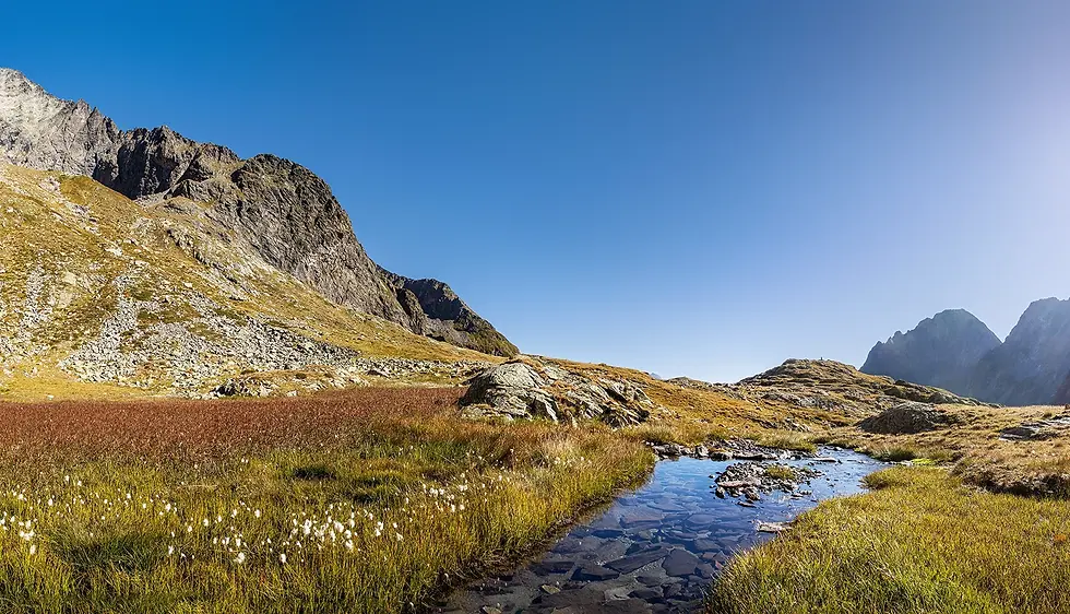 Herbstliche Moorlandschaft im Gradental mit verlandenden Bächen im warmen Licht
