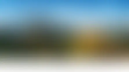Blick von oben auf bunte Reben und Herbstwälder an der Südsteirischen Weinstraße mit aufsteigenden Nebelschwaden im Oktober