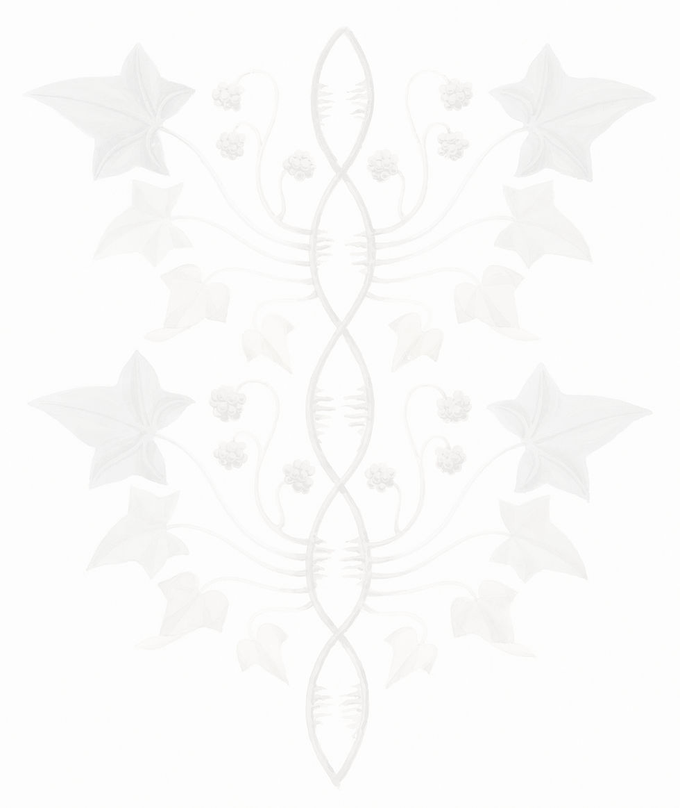 europeana-lOZDGI7tabs-unsplash_edited_edited.jpg
