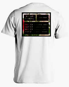 TS white.png