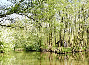 Liebesinsel Raddusch