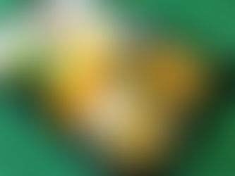 コラッセふくしまにてお弁当の販売開始