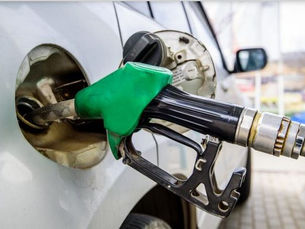 German government mulls limiting biofuel production