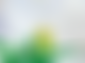 Canábis para fins medicinais