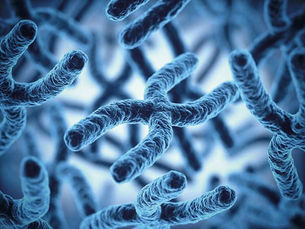 Researchers identify gene that causes heart defects in Down syndrome