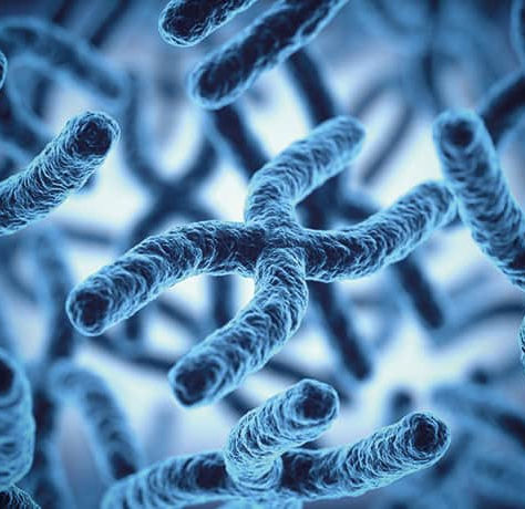 Researchers identify gene that causes heart defects in Down syndrome