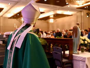 Bishop Robert Barron overlooks the audience at the 2024 Good News Conference.