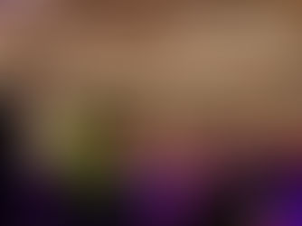 Fr. Mike Schmitz addresses the audience at the 2024 Good News Conference