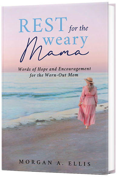 book cover.png