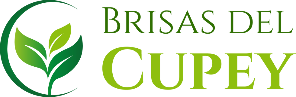 Logo original PNG.png