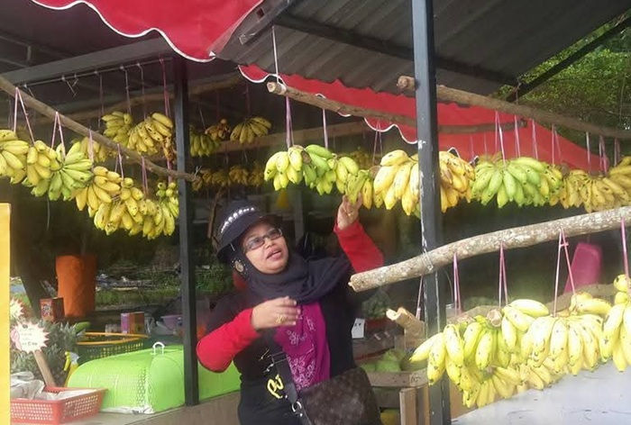 Buah buahan tempatan akan mendapat permintaan tinggi apabila SST dikenakan kepada buah import