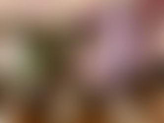 MB Selangor seru anak negeri pulang berbakti di tanah air