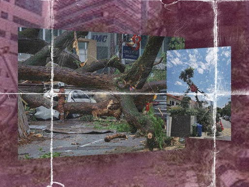 Reformasi Pengurusan Landskap KL: Kehijauan Pokok, Keselamatan Infrastruktur