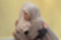 Nurul Izzah merasai kepiluan Noraidah Lamat dan berjanji akan mencari keadilan buat adik Zara