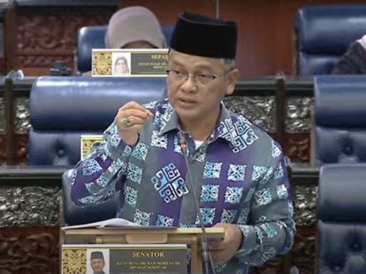 Penjenamaan semula TH: Dilakukan berdasarkan kepakaran syarikat - Dr Naim