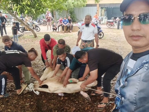 Sumbangan lembu korban Pengerusi MPN T'ganu dihargai penduduk Pulau Duyung Kecil